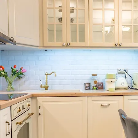 Excellent 2br Flat In Downtown Appartement *